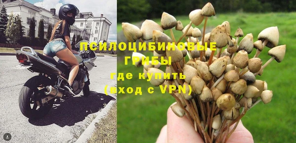 дживик Балабаново