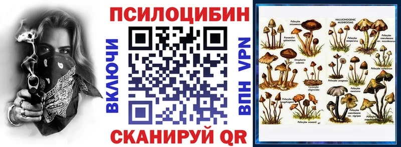 купить наркотики сайты  Поронайск  Псилоцибиновые грибы Cubensis 